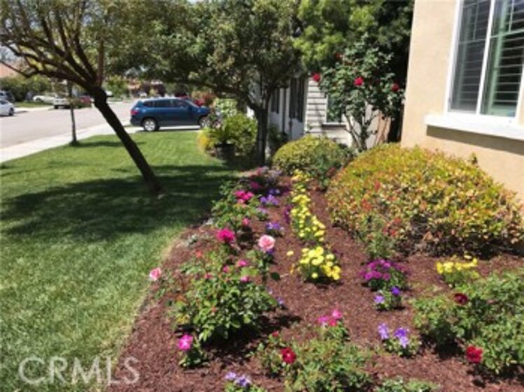 34008 Turtle Creek Street Photo